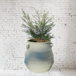 Revival Ceramic Decorative Vase Pot (E)